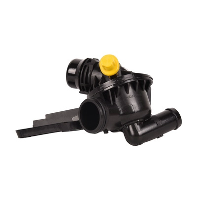 Thermostat, coolant (BF0426520028)