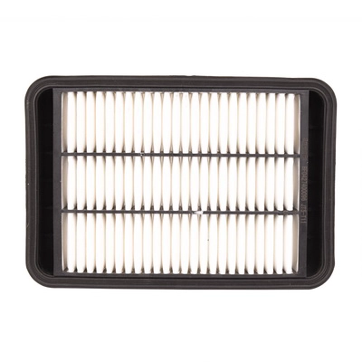 Air Filter (BF0427400096)