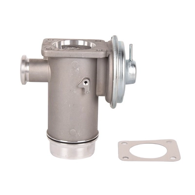 EGR Valve (BF0425810086)