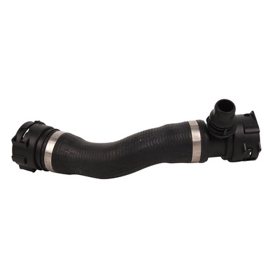 Radiator Hose (TOPT1213108)
