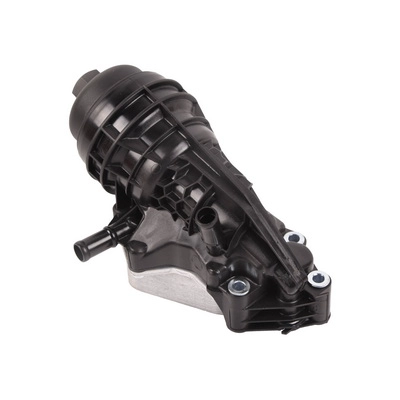 Oil Filter (BF0423410016)