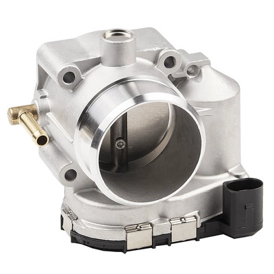 Throttle Body (BACB13-961004)