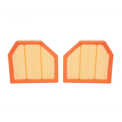 Air Filter (BF0427400032)