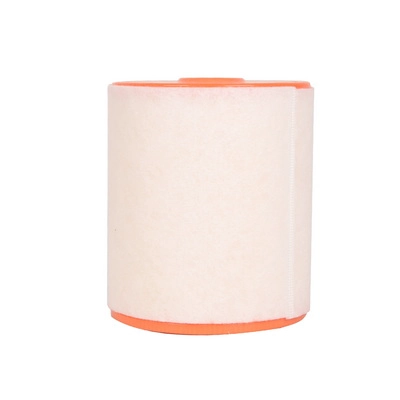 Air Filter (BF0427400062)