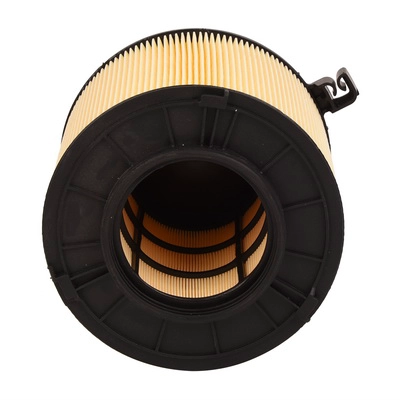 Air Filter (BF0427400091)