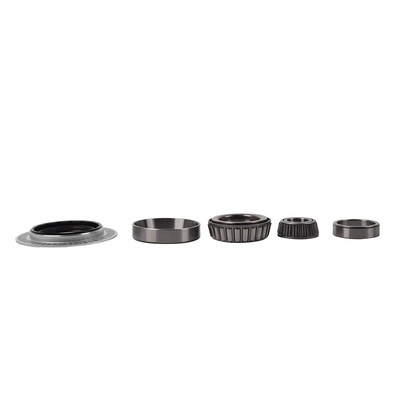 Wheel Bearing Kit (BF0321660023)