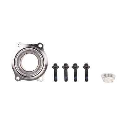 Wheel Hub (BF0321520025)