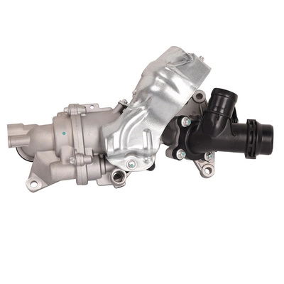 Water Pump, engine cooling (BF0426350020)