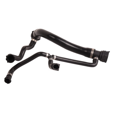 Radiator Hose (TOPT1213057)