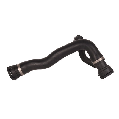 Radiator Hose (TOPT1213124)