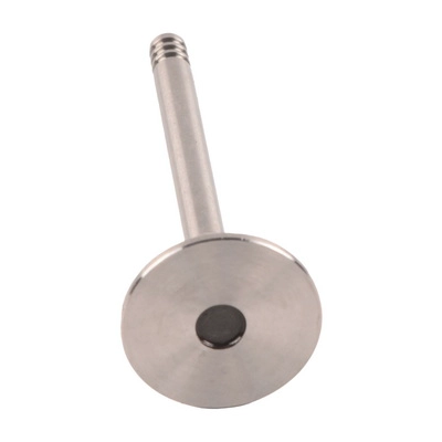 Exhaust Valve (BF0425680003)