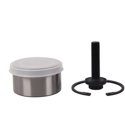 Wheel Bearing Kit (BF0321660011)