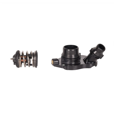 Thermostat, coolant (BF0426520040)