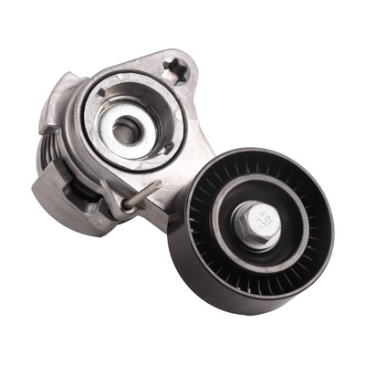 Tensioner Lever, V-ribbed belt (BACB12-234018)