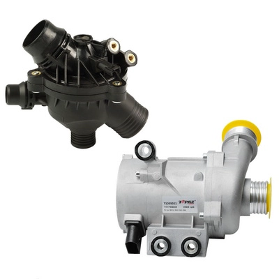 Repair Kit, water pump (TOPT12KIT020)