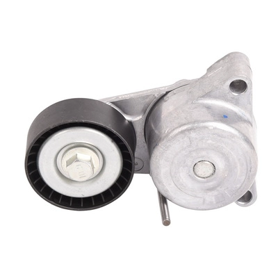 Tensioner Lever, V-ribbed belt (BACB11-234039)