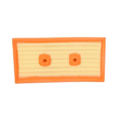 Air Filter (BF0427400150)