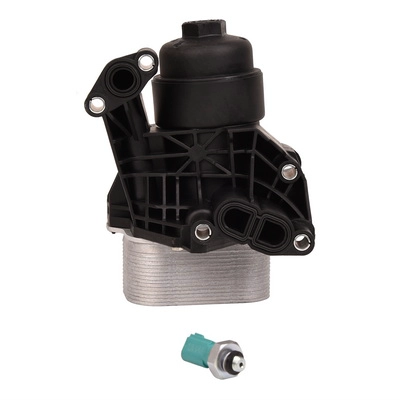 Oil Filter (BF0423410001)