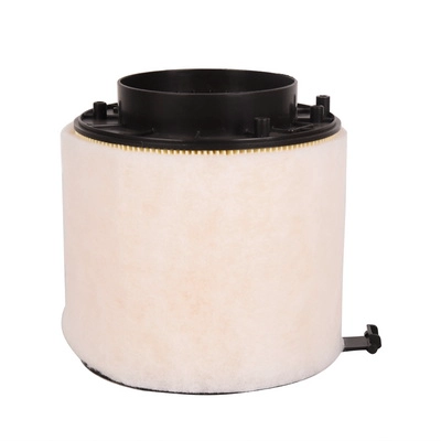 Air Filter (BF0427400065)