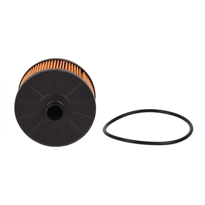 Oil Filter (BF0423450019)