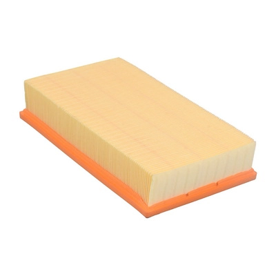 Air Filter (BF0427400300)