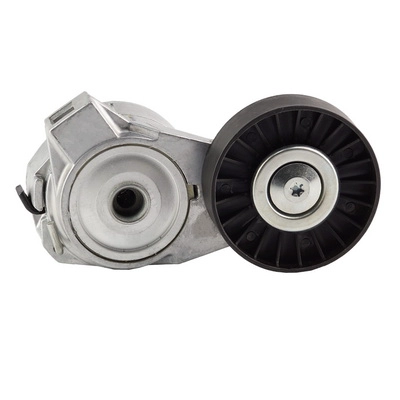 Tensioner Lever, V-ribbed belt (BACB22-234002)
