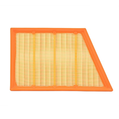 Air Filter (BF0427400079)