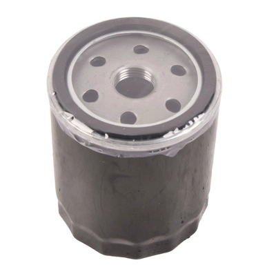 Oil Filter (BF0423450022)