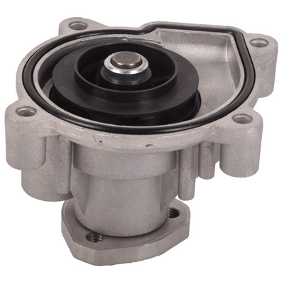 Water Pump, engine cooling (BF0426350078)
