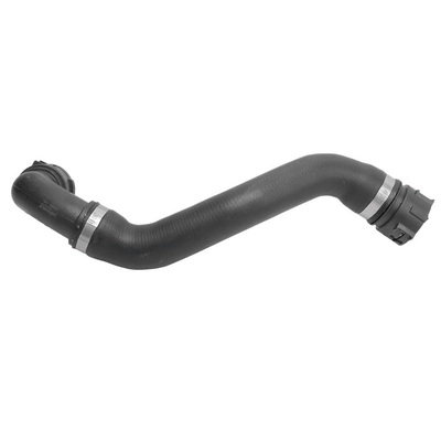 Radiator Hose (TOPT1213059)