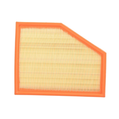 Air Filter (BF0427400022)