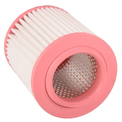 Air Filter (BF0427400161)