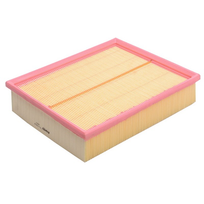 Air Filter (BACB12-939018)