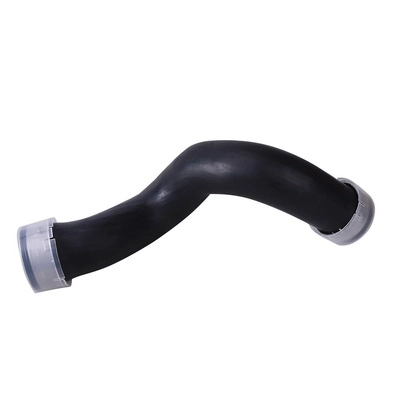 Charge Air Hose (BF0422700179)