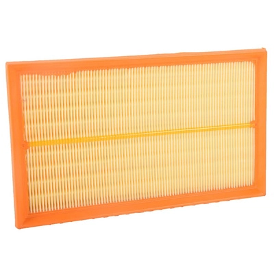 Air Filter (BF0427400166)
