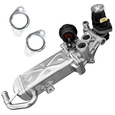 EGR Valve (BACB13-989002)