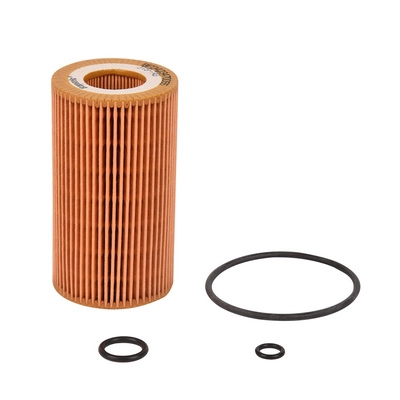 Oil Filter (BF0423470055)