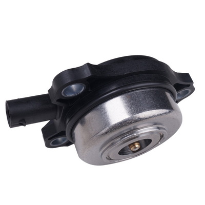 Central Magnet, camshaft adjustment (BF0422950001)