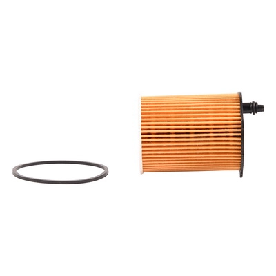 Oil Filter (BF0423470022)