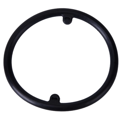 Seal Ring, oil cooler (BF0426500001)
