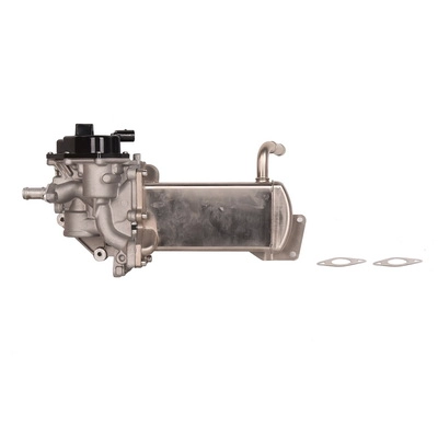 EGR Valve (BF0425820016)