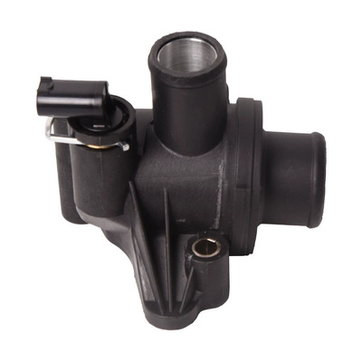 Thermostat, coolant (TOPT1106018)