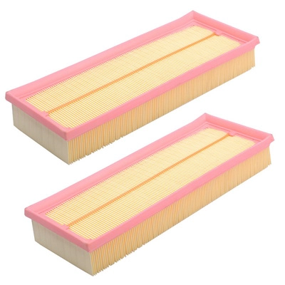 Air Filter (BACB11-939009)