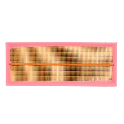 Air Filter (BF0427400003)