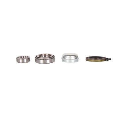 Wheel Bearing Kit (BF0321660032)