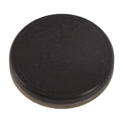 Locking Cover, camshaft (BF0425600001)