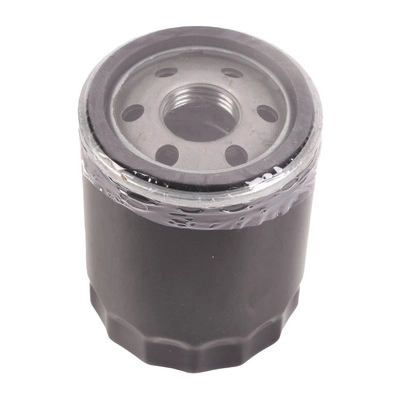 Oil Filter (BF0423450065)