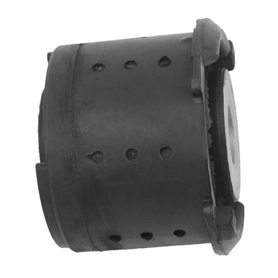 Bushing, axle beam (BACB12-508001)