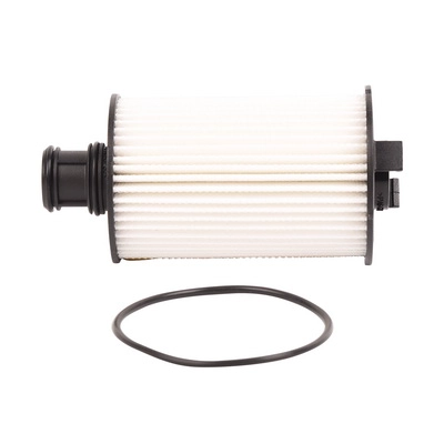 Oil Filter (BF0423450005)