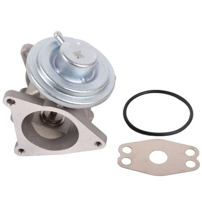 EGR Valve (BF0425810015)